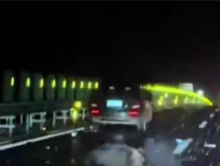 雪天路滑一轿车与黑熊相撞 交警回应：野生动物不受控制不会受罚 !