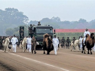 再创先河！印度阅兵将首次派出军用动物方队：有骆驼、马还有鸟 ！