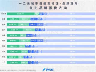 比亚迪车主忠诚度高的离谱：31%换车还买比亚迪 ！