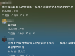 青海一动物园狸花猫误入虎园被咬死 园方回应：非人为携带 !