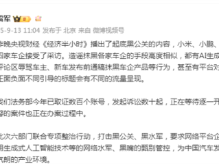 雷军自曝：已取证数百账号 发起诉讼数十起 正在等待逐一开庭 !
