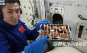 中国空间站首次迎来太空烤箱：航天员在太空吃上了烤鸡翅 !