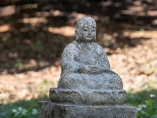 善恶到头终一报，是在早晚一二天猜一生肖是什么生肖，精选作答释义解释