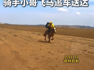 游客在大草原点外卖 骑手小哥飞马追车送达 网友：遇到了真骑手 不白来 !