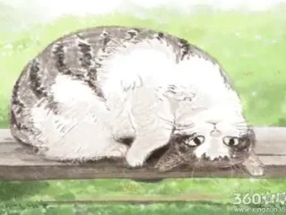 魂断千条与万条,五天长假可游玩猜打一个最佳最佳生肖。精准释义词语解释