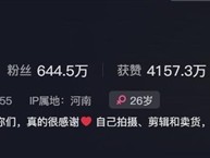 卖菜西施否认年入百万：比上班挣得多 ！