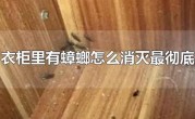衣柜有蟑螂的解决方法（衣柜里有蟑螂应该如何解决） ！