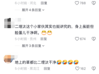 东北虎网红二埋汰“盛装打扮”迎宾 网友：直到它出现那一秒 我都抱有幻想 !