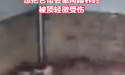 男子被上百公斤梅花鹿顶翻 起身怒敲鹿头 当事人：被顶轻微受伤 !