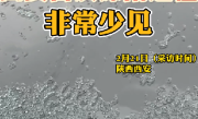 西安出现2001年以来首次冻雨 专家：比较少见 ！
