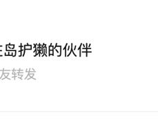 月薪8千+五险一金！浙江一驻岛人招聘火了 网友：神仙工作 ！