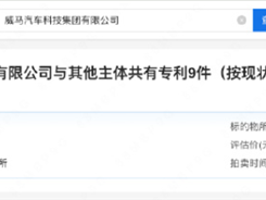威马汽车名下专利开启拍卖：起拍价21.5万元 ！