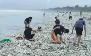 “韦帕”过境广东一海滩遍地海鲜 专家提醒：当心这种细菌引发败血症 !