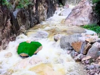 河南嵩山景区石头彩绘“巨型蛇头”已被覆盖：被指吓到人 原石已经有亿年历史 !
