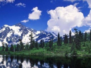 空有前景，宁可作罢。留和南风解愠诗是打指一最佳最佳生肖,独家释义词语解释!