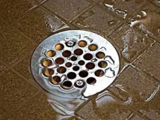下水道堵塞属于物业管理范围吗?
