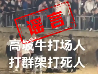 斗牛比赛现场冲突致人死亡?不实，只是双方发生了点小冲突 ！