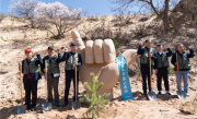 支付宝蚂蚁森林种了6亿棵树！只用短短9年 ！