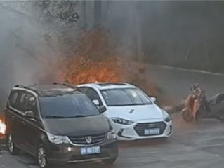 一男子手欠点燃柳絮：火势迅间失控引燃路边轿车 已被依法处理 !