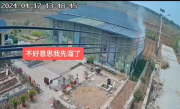 家中失火边牧第一个溜了 土狗留在屋内照顾狗仔 ！