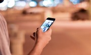 烈犬撕咬路人致死狗主人获刑6年半 后者回应引热议：狗咬死的跟我没关系 !