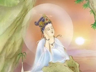 二一得三是何肖，兔兄蛇弟难相处打一最佳最佳生肖。优佳谜底赏析解释！