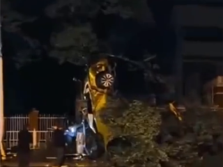 重庆一汽车发生翻车事故:车尾朝天靠树上 气囊弹开男子自行脱困爬出 !