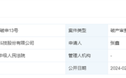 中国互联网的青春：天涯社区关联公司被申请破产！ 