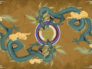 几番挣扎，弃暗投明。未必从此享太平。不捻不套，有违本性。明争暗斗是世情巧指一最佳最佳生肖,独家释义词语解释! 