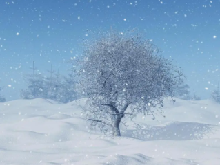 2025年湖南入冬几月开始下雪 !