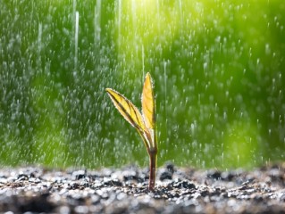 暴雨+雷暴大风 这些地方注意防范 !