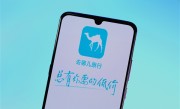 女子奔丧退票被索要“火化证明” 去哪儿网回应 ！