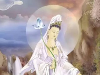 恨一林金粟都空猜打指是什么生肖。谜底解释释义刨解赏析