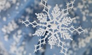 刚刚立秋 新疆8月下暴雪：开始过冬了 !