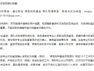 全球已知存活两只雄性斑鳖 寻鳖悬赏涨到20万元 志愿者：近200份线索都不是 !
