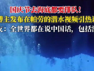 中国游客在帕劳潜水像下饺子：去海底都要排队 鱼还没有人多 ！