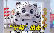 起猛了 052D上居然有只“雪豹” ！你和它合影了吗？