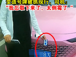 变造号牌“8变B”被抓现行 女司机：忘取下了 太倒霉了 !