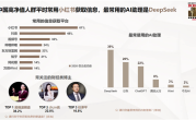 资产过亿的中国高净值人群报告：将雷军等当偶像 最爱用DeepSeek、不买车的人激增 ！