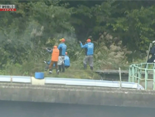 今年已致13人死亡!日本熊灾现场有明显吃人痕迹 !