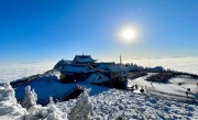 峨眉山向股东发福利：可免费旅游 同行家人可享半价 !