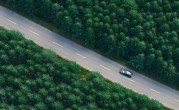 余承东亲当车模 享界S9T仙踪绿实车曝光：带顶箱确实帅 !