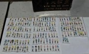 男子入境腰缠163只超大蚂蚁：外来物种 生性凶猛 ！