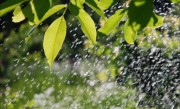 出殡时下雨的预兆（出殡时下雨的神秘信号） ！