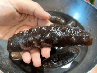 海参的泡发步骤和注意事项（详细解释海参的泡发过程和注意事项） ！