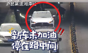 男子提新车没加油直接上高速 刚上匝道就抛锚：卖车的没告诉我啊 ！