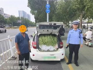 山东“豆橛子”又爆仓了 A00级小汽车塞满豆角 轮胎都压瘪了 !
