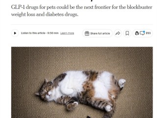全球首款猫用减肥药进入临床试验：声称能“延年益寿” ！