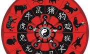 画肖是指哪些属相（画肖指的是哪些生肖的画作）