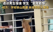 贵州大学宿舍遇“辅导猿查寝” 学生“受宠若惊” 校方：闯入猴子系保护动物 只能驱赶 !